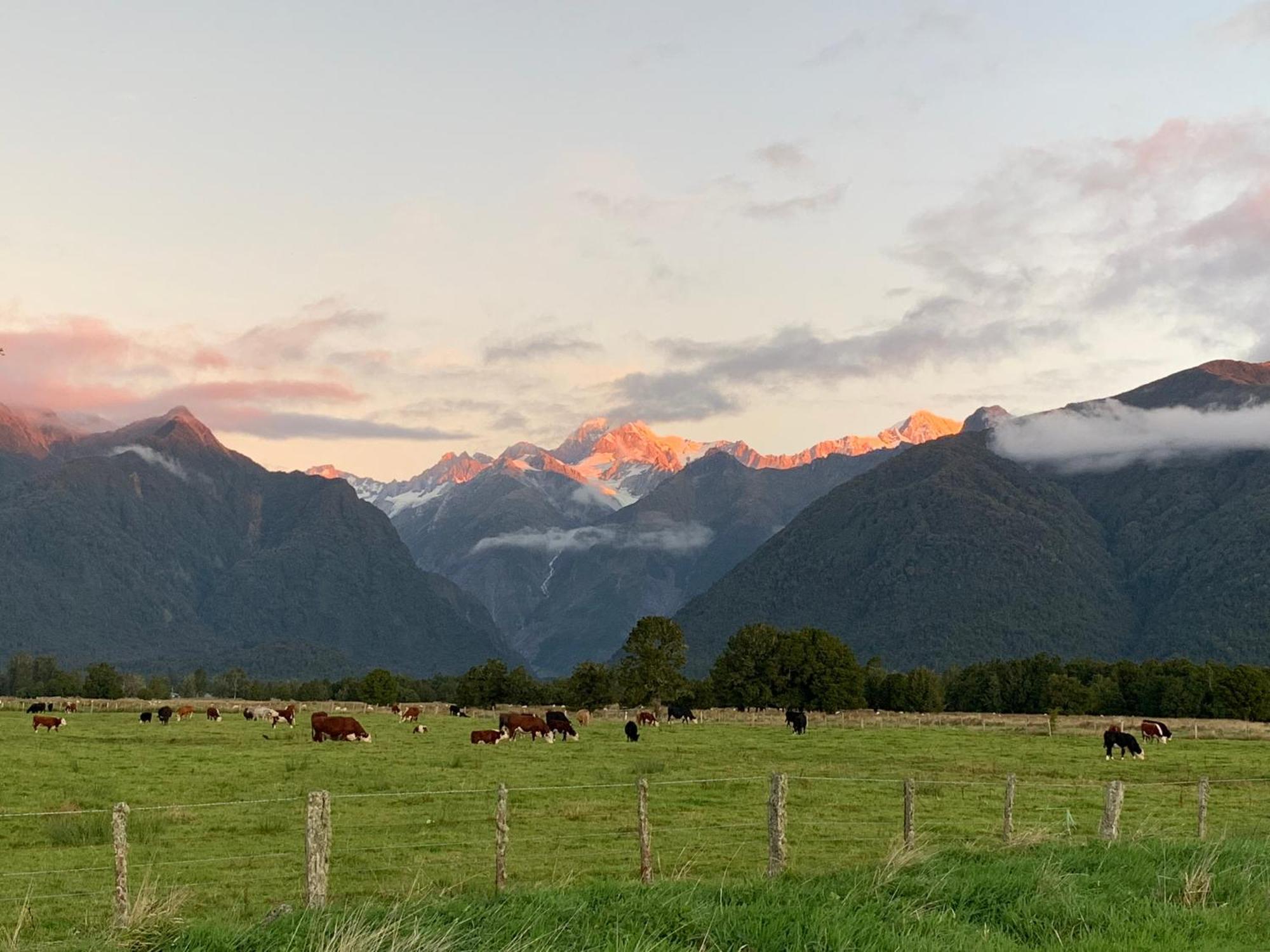 High Peaks Hotel Fox Glacier Exteriér fotografie